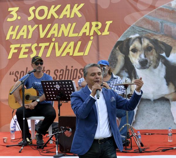 SOKAK HAYVANLARI FESTİVALİ DÜZENLENDİ