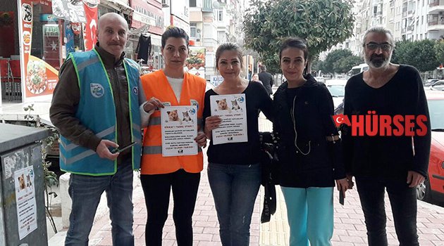 Sokak kedileri için bırakılan mamaları süpürgeyle dağıttı
