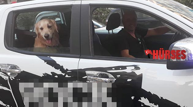 Tarçın’ın sahibine teşekkür