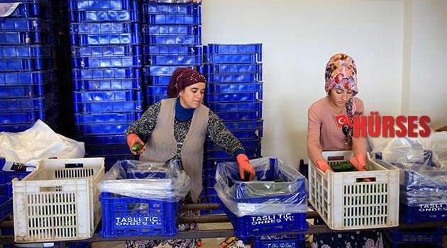 Toptancı Hal’de rekor işlem