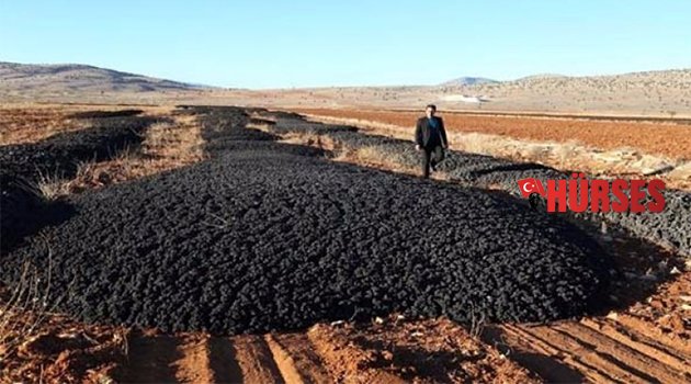 TÜBİTAK'IN AÇIKLADIĞI SONUÇLAR DEHŞETE DÜŞÜRDÜ!