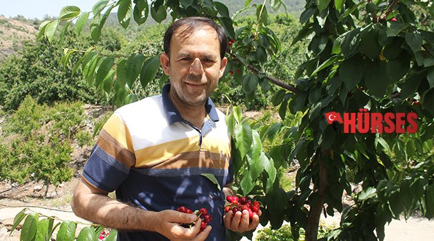 TURFANDA KİRAZIN KİLOSU DÜŞTÜ