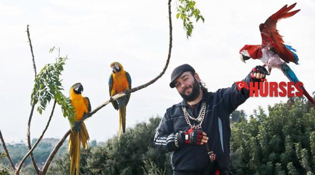 ÜÇ PAPAĞANIYLA ANTALYA SOKAKLARINDA