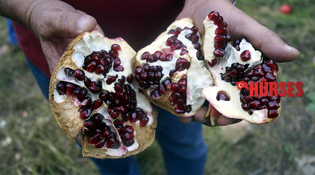 ÜRETİCİ NARI MALİYETİNE SATIYOR