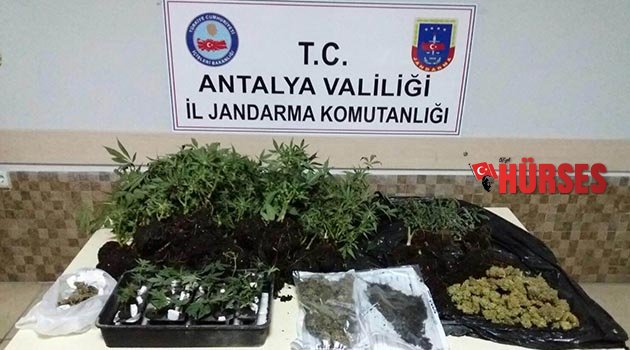 Uyuşturucu operasyonu