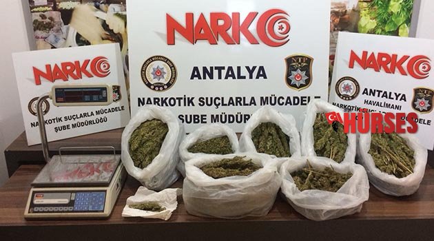 Uyuşturucu operasyonuna 10 tutuklama