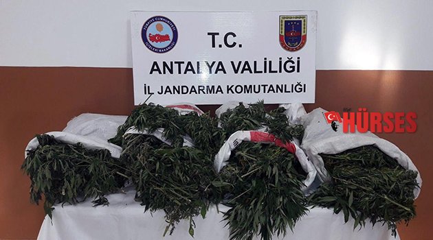 Uyuşturucu tacirine hapis