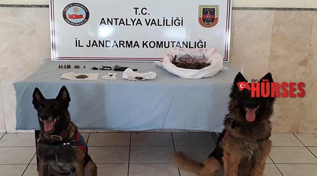 Uyuşturucu tacirlerine geçit yok