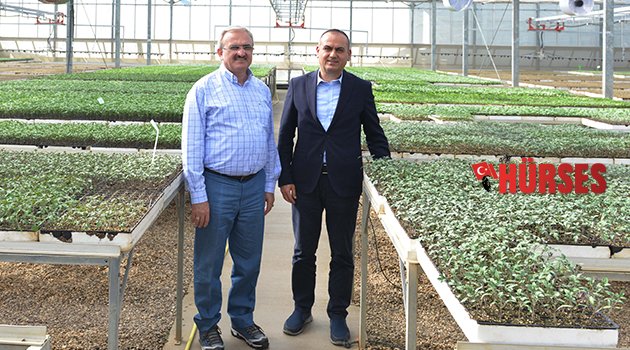 VALİ, YÜKSEL TOHUMCULUĞU GEZDİ