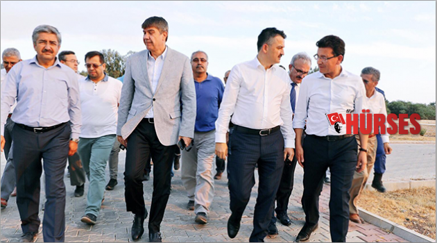 Yanan bölge tekrar  ağaçlandırılacak