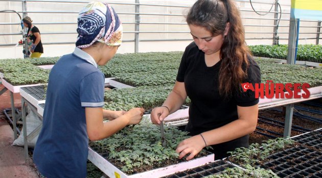 YENİ SEZON İÇİN FİDE ÜRETİMİ BAŞLADI