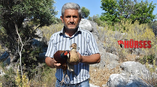 YETİŞTİRDİĞİ SÜLÜNLERİ DOĞAYA SALDI