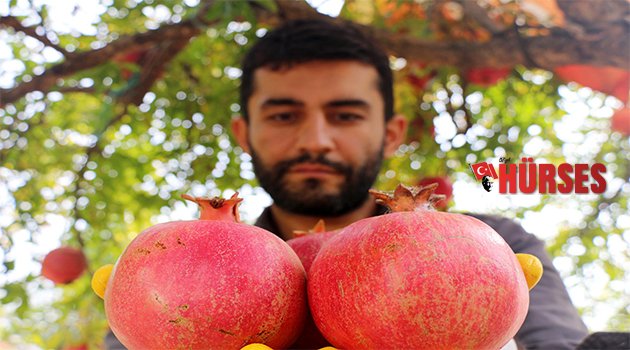 YETİŞTİRDİKLERİ ORGANİK ÜRÜNLERİ İNTERNETTEN SATIYORLAR