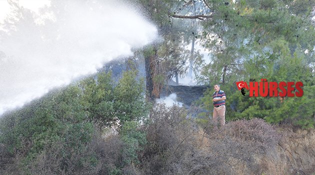 YÜREK BURKAN FERYAT: EVİMİ BIRAKIN ORMAN YANMASIN