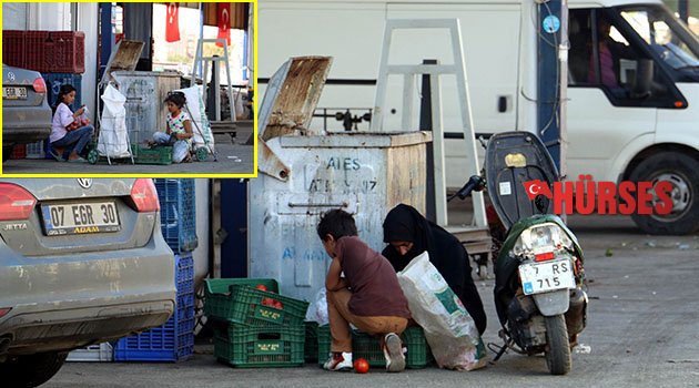 Yürek burkan görüntüler