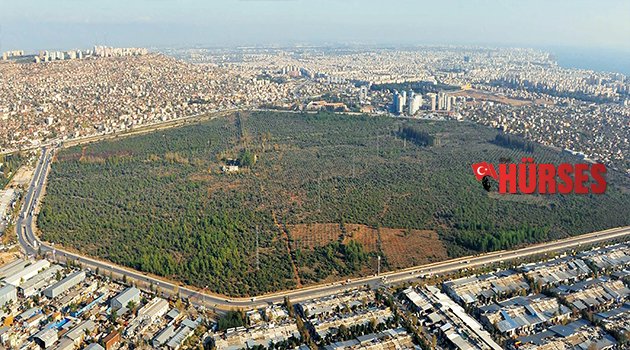 ZEYTİNPARK'A GÖNÜLLÜ REHBER ARANIYOR