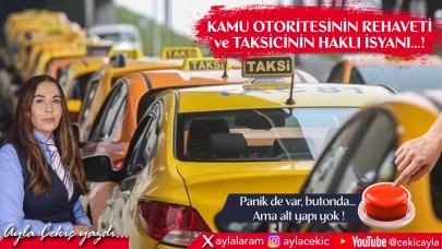 Kamu Otoritesinin Rehaveti ve Taksicinin Haklı İsyanı