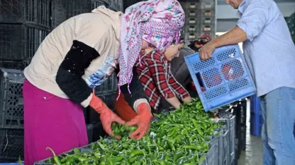 Son 7 yılın verileri açıklandı: Antalya hallerinde domates, meyve ve sebze endeksleri