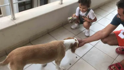 Minik Gökçe’den örnek davranış