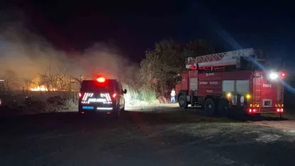 Serik’te yol kenarındaki otluk alanda çıkan yangın korkuttu