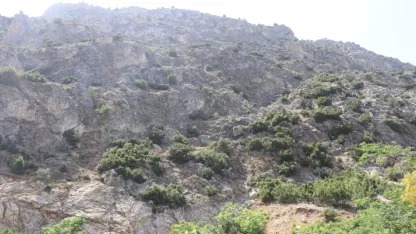Doğa gezisine çıktı, ’En tepeye çıktım, mükemmel bir manzara var’ dedikten sonra haber alınamadı