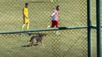 Isparta’da amatör maçta sahaya köpek girince oyun durdu