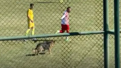 Isparta’da amatör maçta sahaya köpek girince oyun durdu