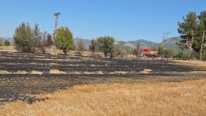 Bucak’ta arazide çıkan yangın itfaiye ekiplerince söndürüldü