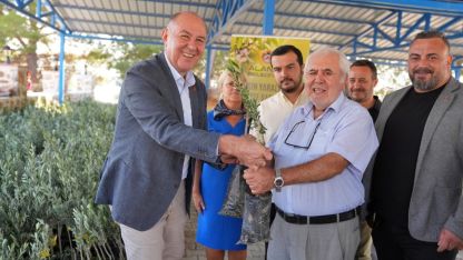 Yangında zarar gören bahçe sahiplerine zeytin fidanı