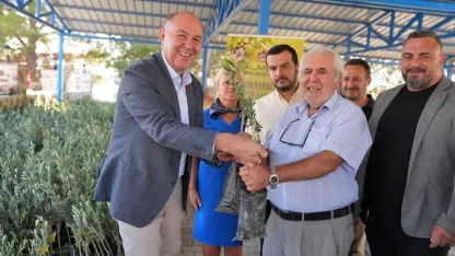 Yangında zarar gören bahçe sahiplerine zeytin fidanı