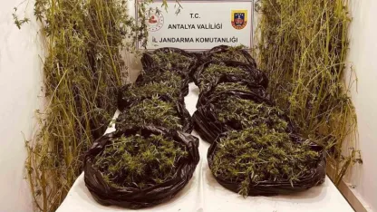 Antalya’da 53 kilo uyuşturucu ele geçirildi