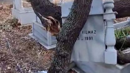 Rüzgardan dalları kırılan ağaçlar mezarlara zarar verdi