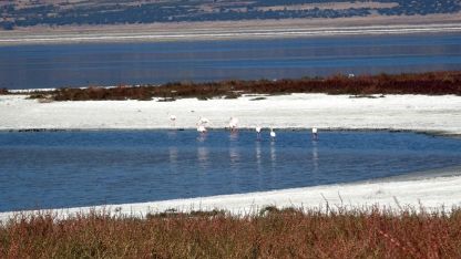 Prof. Dr. Gülle: Bundan sonra bütün göller küçülme trendinde