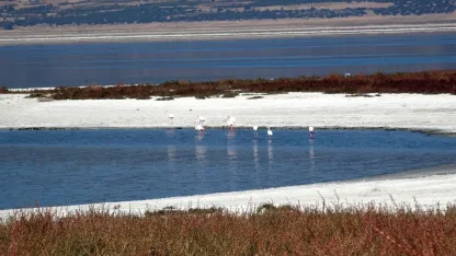 Prof. Dr. Gülle: Bundan sonra bütün göller küçülme trendinde