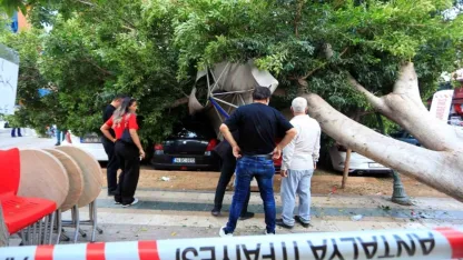 Antalya’da faciadan dönüldü: Araçların üzerine devrilen ağacın altında kalmaktan son anda kurtuldu