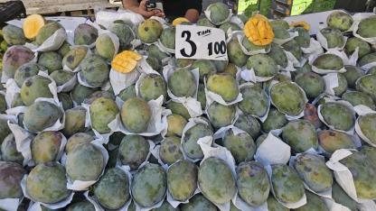Antalya Cuma Pazarında, tropik meyvelere yoğun ilgi!