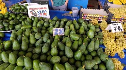 Antalya’da semt pazarlarında avokadonun kilosu 250 TL’ye yükseldi
