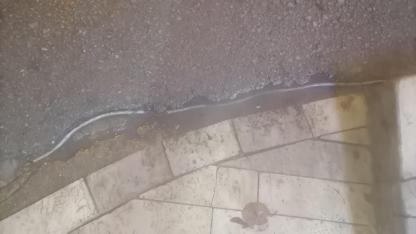 Antalya'da tabela aydınlatması kablosu tehlike saçıyor: İzolasyonsuz kablolar yağmurda ölüm riski yaratıyor