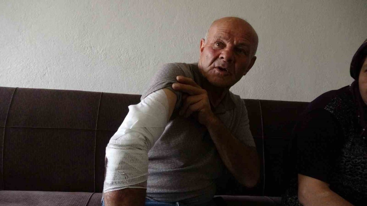 Beslemek istediği köpek saldırdı, koluna 10’dan fazla dikiş atıldı