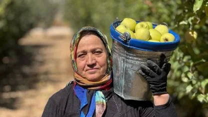 Coğrafi işaretli Isparta elmasında hasat başladı! Avrupa'dan Arap ülkelerine yolculuk