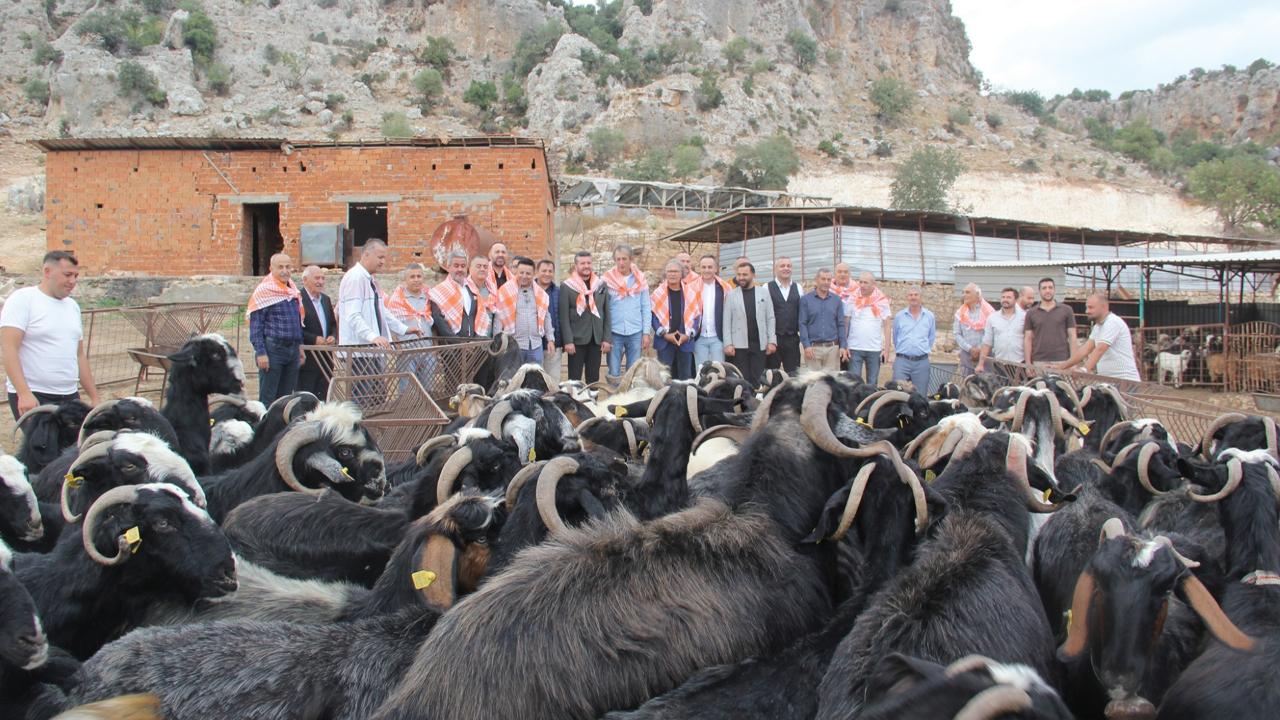 İş dünyasının temsilcileri Antalya&#039;da &quot;Honam Keçisi&quot;ni konuştu