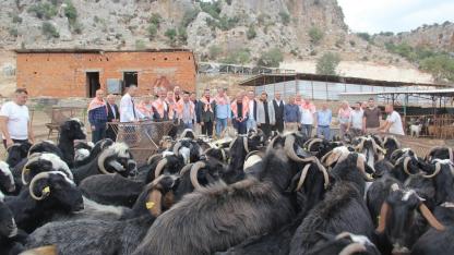 İş dünyasının temsilcileri Antalya'da "Honam Keçisi"ni konuştu