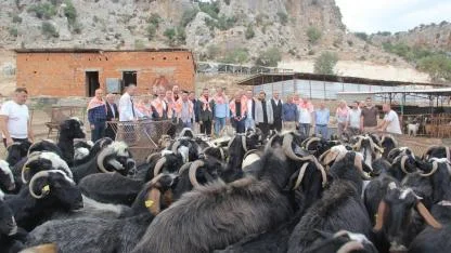 İş dünyasının temsilcileri Antalya'da "Honam Keçisi"ni konuştu