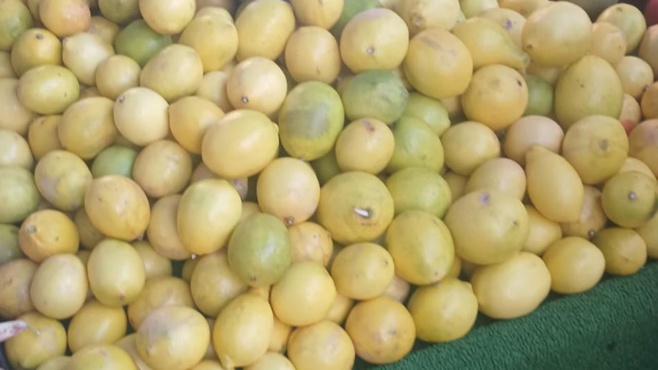 Limon fiyatları vatandaşın yüzünü ekşitiyor!