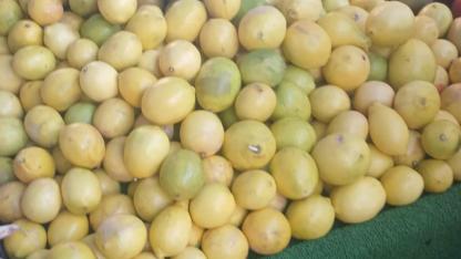 Limon fiyatları vatandaşın yüzünü ekşitiyor!