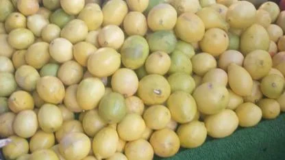 Limon fiyatları vatandaşın yüzünü ekşitiyor!