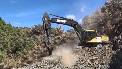 Yanan alanlara ilk fidanlar 11 Kasım'da toprakla buluşacak