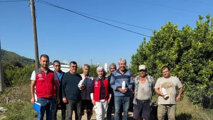 Ortaca’da narenciye bahçelerinde zararlılara karşı mücadele  sürüyor