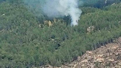 Kavaklıdere’de orman yangını