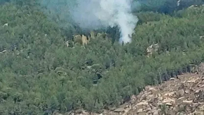 Kavaklıdere’de orman yangını